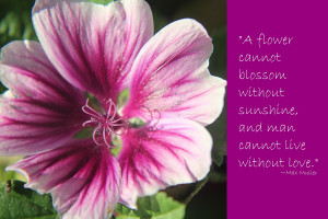 If you're the site owner , log in to launch this site.