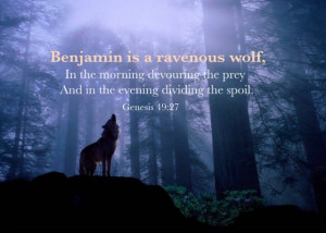 Genesis 49:27 Benjamin is a ravenous wolf, In the morning devouring ...