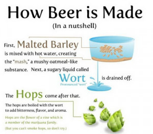 Interesting Facts And Stories About Pic Saipan