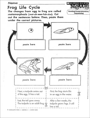 ... frog life cycle frog metamorphosis science life cycles stages of