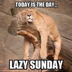 Today is the day... Lazy Sunday #Inspirational #Quotes #Candidman More
