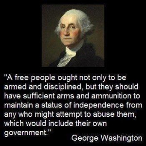 George Washington Meme on 2nd Amendment