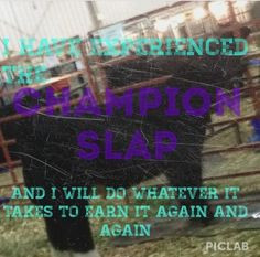 Stock Show Quotes Livestock showing champion