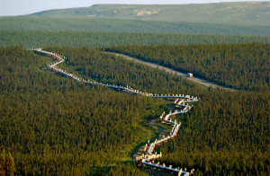 Energy Quote of the Day: Alaska Governor Reacts to Rejected ANWR Plan