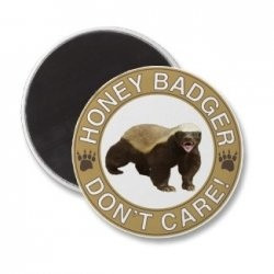 This and all of the other funny honey badger quotes presented on a ...