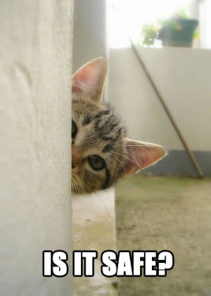 Discussions → The SHOW ME game