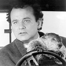 Another year, another Groundhog Day