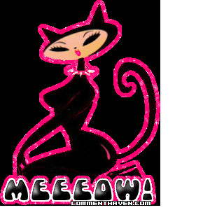 Meeeow picture for facebook