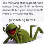 Instagram photo by @snitching.kermit (But that's none of my business ...