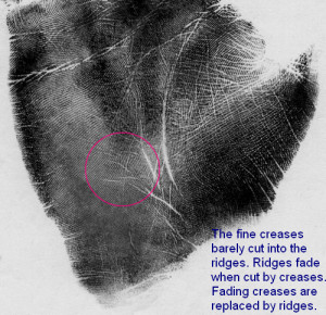 People have long adorned their bodies with art and piercings to uplift ...