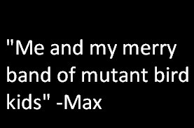 Maximum Ride: How I describe my brothers and I.