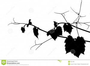 Black And White Grape Clipart