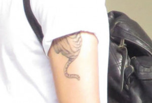 Zayn Malik Shirtless And...