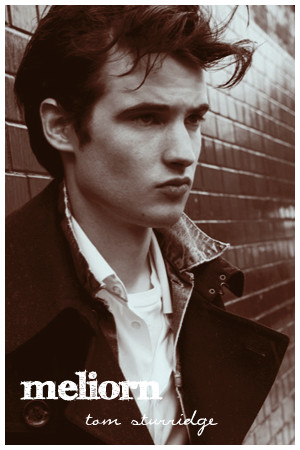 Tom Sturridge