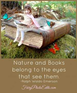 Book in the Fairy Woods