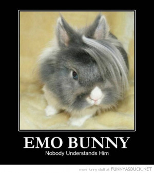 emo bunny rabbit animal nobody understands him funny pics pictures pic ...