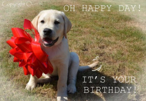 ... PUPPY with Happy Birthday by overthefenceart: Happy Birthday Wish