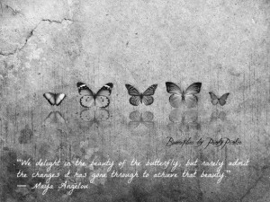 Butterflies Quote Maya Angelou – metaphor about change