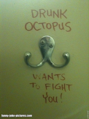 Funny Drunk Octopus Wants To Fight You Door Hook Picture