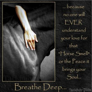 Horseback Riding Is A Sport Quotes Beginner horse riding lessons