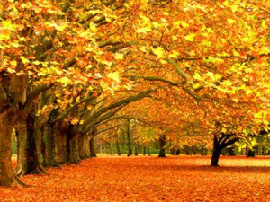 Inspiring Quotes About Autumn