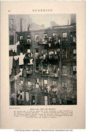 Tenement dwellers, &How can they be helped?& Eugenics: A Journal of ...