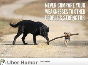 Inspirational Quotes: Quote of the day