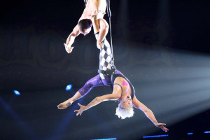 nk, Pink Official Tour Photo performing on a trapeze in concert