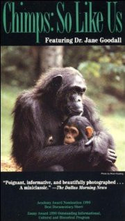 Jane+goodall+quotes+about+chimpanzees