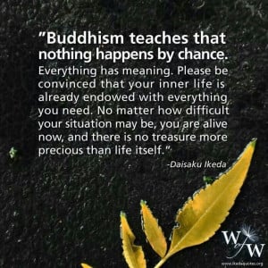 Nothing happens by chance... Daisaku Ikeda quote