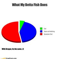 What My Betta Fish Does #bettafish #betta #funnybetta #funnyfish # ...