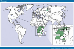 Marburg Hemorrhagic Fever