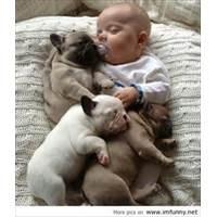 activaresults.comFunny Christmas Quotes | Famous Quotes of the Day