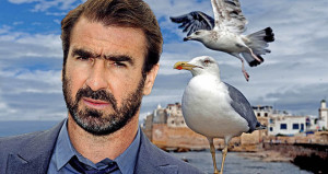 When the seagulls follow the trawler, it is because they think ...