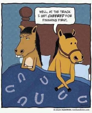 ... Funny Pictures // Tags: Funny cartoon - Horses in bed // April, 2013