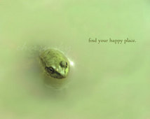 Your Happy Place - Minty Green Frog Toad Puddle Inspirational Quote ...