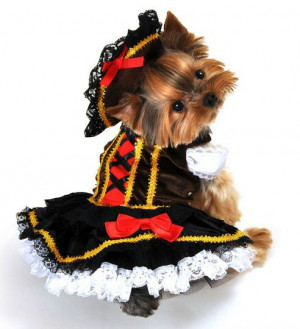 girl halloween dog costume description pirate wench girl halloween dog ...
