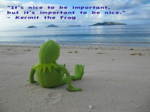 Frog: 