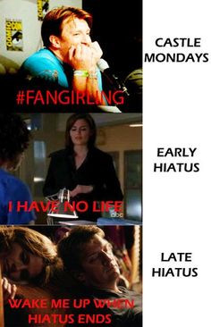 The Castle Fandom: A Summary.