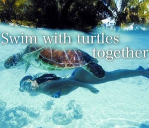 Sea Turtles!