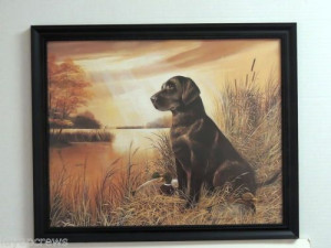 Chocolate Lab Dog Picture Duck Hunting Duck Decoys Framed Print 16x20 ...