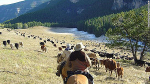 Wyoming's Doublerafter Cattle Drives offers 