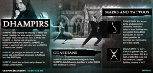 Vampire Academy Infographics