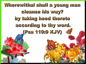 Newer Post Older Post Home