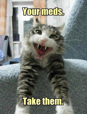 Funny cat – Take your meds