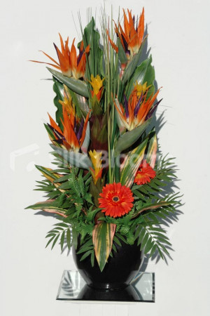 Bird of Paradise Flower Arrangements