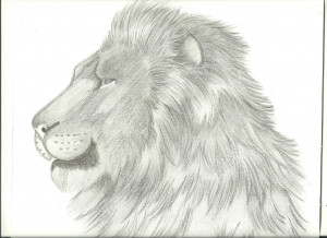 Image search: Aslan