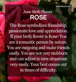June Birth Flower : Rose