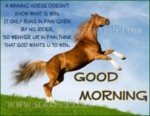 ... Is Win It Only Runs In Pain Given By His Rider - Good Morning Quote