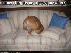 ... quotes with photos dog quotes with pictures funny dog quotes funny pet